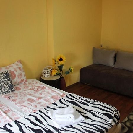 Vitoshka Biggest Apartment Sofia Ngoại thất bức ảnh